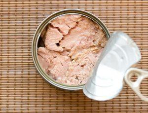 Ton balığı sağlıklı mı, zararlı mı? Faydaları ve dikkat edilmesi gerekenler