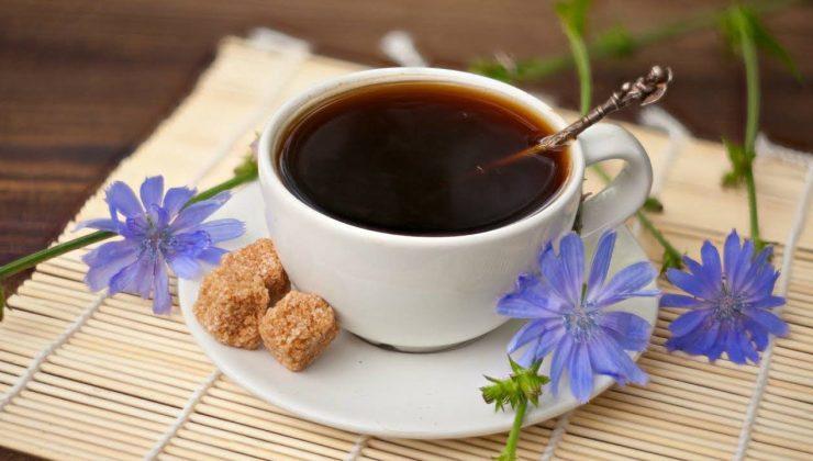 Hindiba Kahvesinin Faydaları: Sağlığınız İçin Neden Tüketmelisiniz?