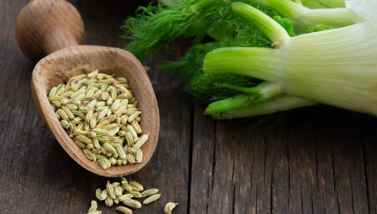 Hangi bitki en çok çay olarak tüketiliyor: Rezene faydası