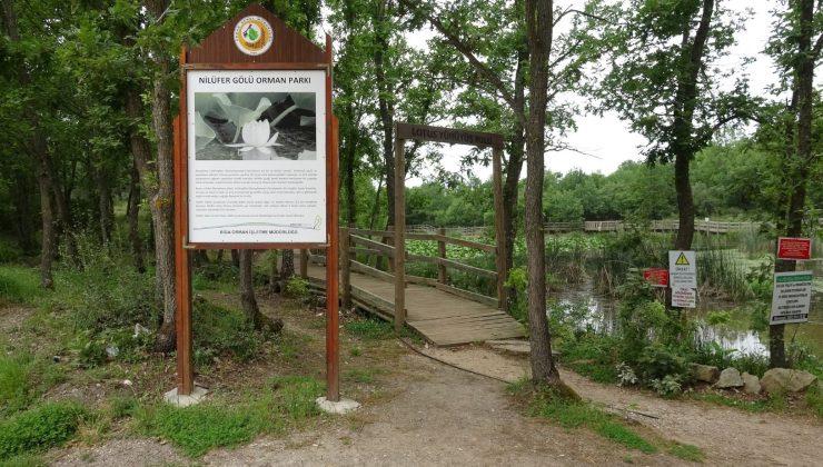 Bu çiçeği koparmanın cezası 387 bin 141 TL