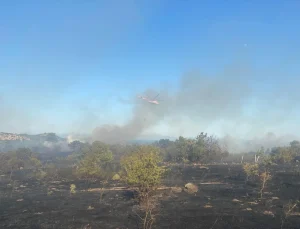 Çanakkale’de orman yangını