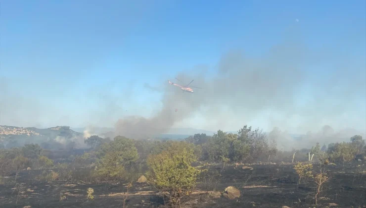 Çanakkale’de orman yangını