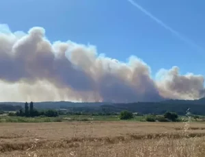 Bakan Yumaklı’dan Çanakkale’deki yangınla ilgili açıklama