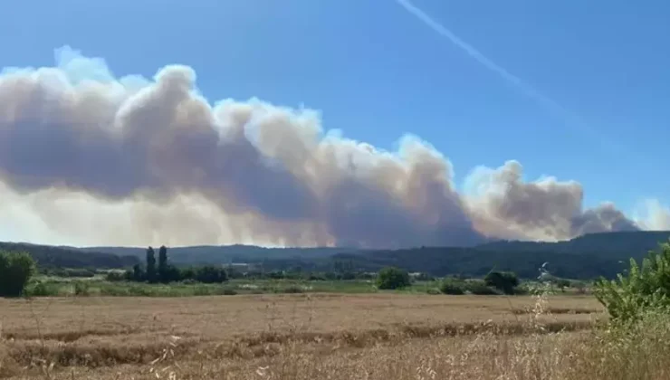 Bakan Yumaklı’dan Çanakkale’deki yangınla ilgili açıklama