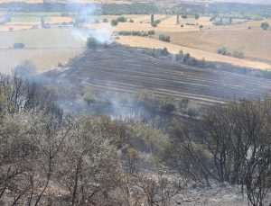 Manisa’da ekin tarlasında yangın: 35 dönüm kül oldu