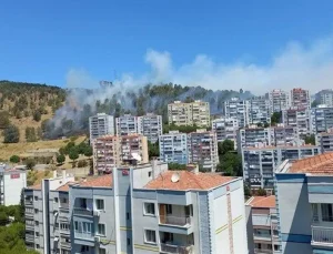 İzmir ve Balıkesir’de dört noktada yangın: Havadan ve karadan müdahale sürüyor