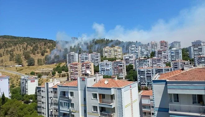 İzmir ve Balıkesir’de dört noktada yangın: Havadan ve karadan müdahale sürüyor