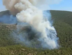 Bodrum’da orman yangını Havadan ve karadan müdahale ediliyor