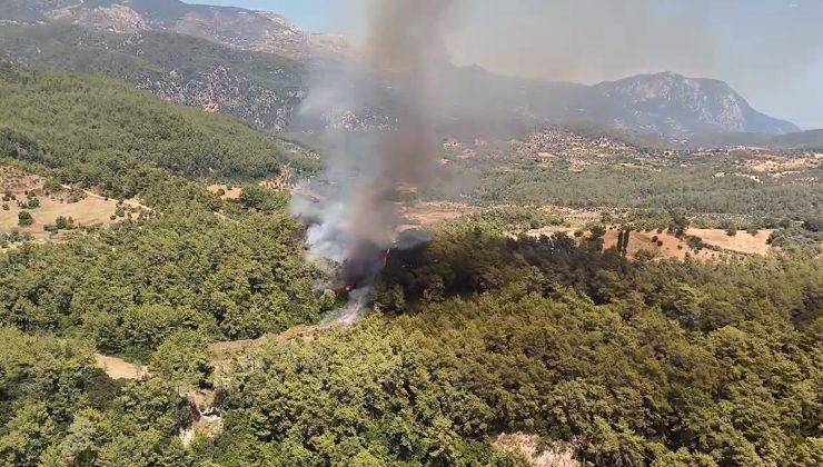 Milas yangınına havadan karadan müdahale