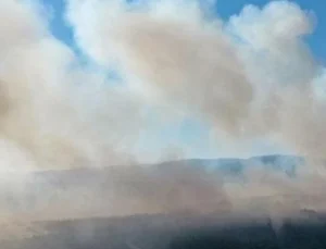 Hadımköy’de otluk alanda yangın