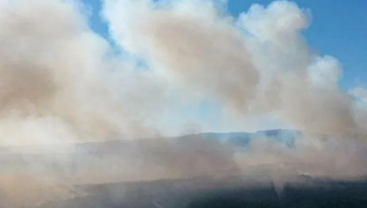 Hadımköy’de otluk alanda yangın