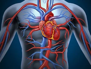 Prof. Dr. Arslan: “Koroner anjiyografi ile kalp damarlarını görüntülemek ve tedavi etmek mümkün”