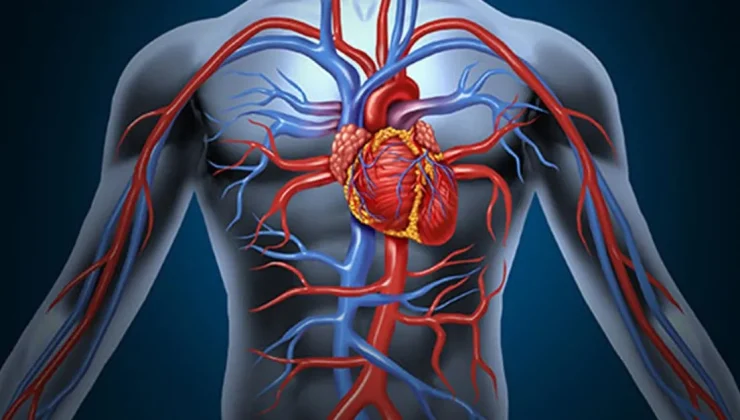 Prof. Dr. Arslan: “Koroner anjiyografi ile kalp damarlarını görüntülemek ve tedavi etmek mümkün”