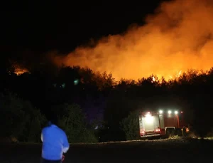 Orman yangınlarıyla ilgili 7 kişi gözaltına alındı, 2 kişi tutuklandı