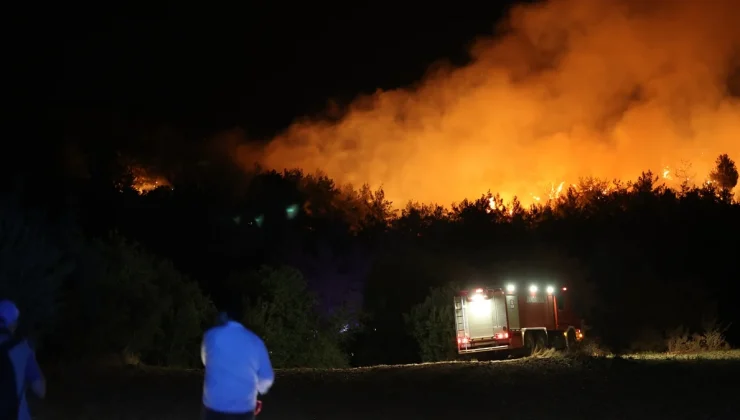 Orman yangınlarıyla ilgili 7 kişi gözaltına alındı, 2 kişi tutuklandı