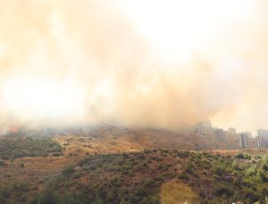 İzmir’de yangın yerleşim yerlerine ulaştı