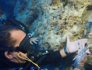 Akdeniz’in derinliklerinde Girit-Minos Uygarlığına ait 3 bin 600 yıllık hançer bulundu