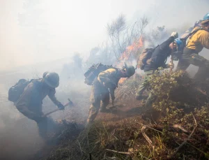 ABD’de orman yangını: Can kaybı 7’ye yükseldi