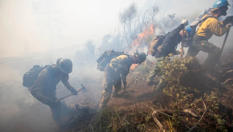 ABD’de orman yangını: Can kaybı 7’ye yükseldi