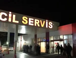 Sağlık Bakanlığı’dan 81 ile talimat: “Hastanelerde sahipsiz hayvan olmayacak”