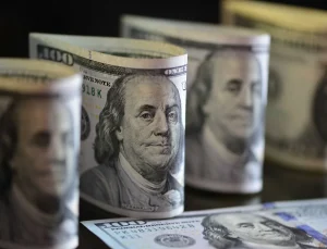 Dolar 42 lirayı gördü