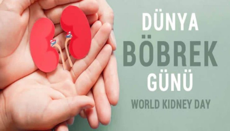 Dünya Böbrek Günü’nde uyarı: Kontrol önemli, hastalık belirti vermiyor
