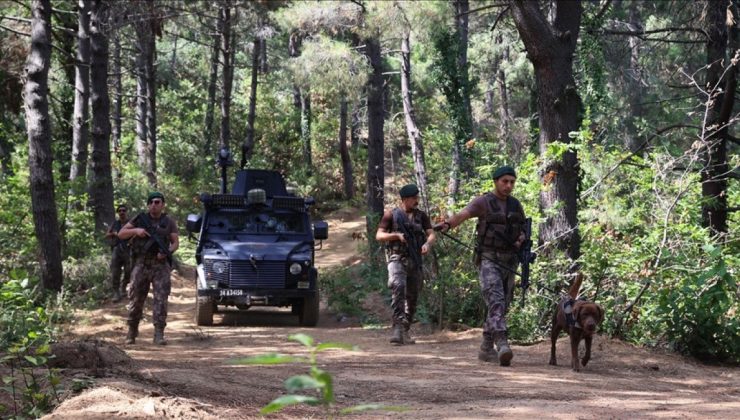 İstanbul’da ormanlık alanlara girişler yasaklandı