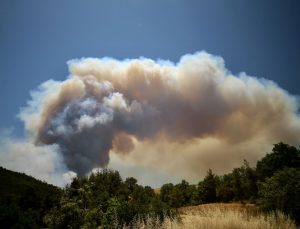 Sakarya’daki yangın Bilecik’e kadar ulaştı! Yüzlerce kişi tahliye edildi