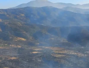 İzmir Ödemiş’te 3 gündür devam eden yangın sonrası dağlar siyaha büründü