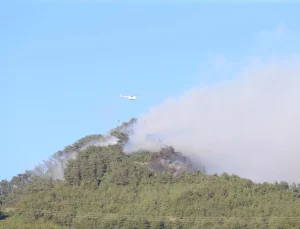 İbrahim Yumaklı’dan orman yangınlarıyla ilgili son durum raporu