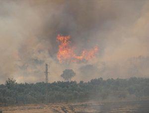 Tekirdağ’da anız yangını paniği: Alevler ormana sıçradı