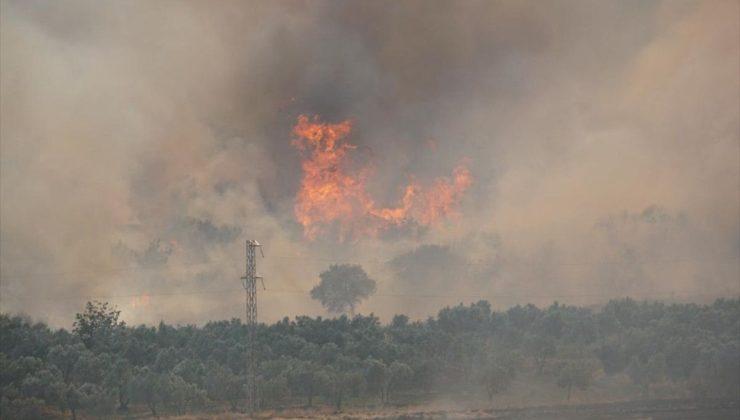 Tekirdağ’da anız yangını paniği: Alevler ormana sıçradı