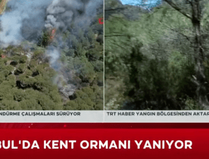 İstanbul Sultangazi’de orman yangını!