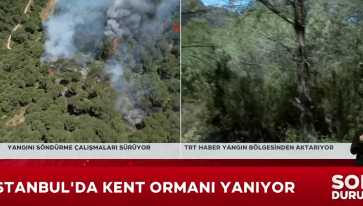 İstanbul Sultangazi’de orman yangını!
