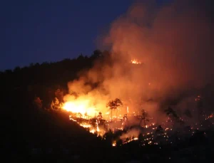 Denizli ve Malatya’da çıkan orman yangınına müdahale sürüyor
