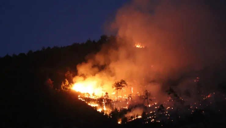 Denizli ve Malatya’da çıkan orman yangınına müdahale sürüyor