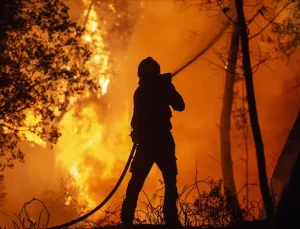 Orman yangınlarıyla mücadele eden gönüllülerin haklarına ilişkin yeni düzenleme
