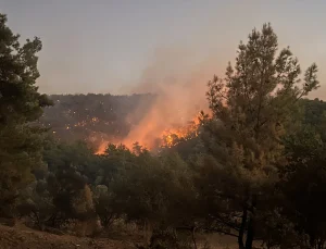 Muğla’daki yangınlarda son durum: 218 ev boşaltıldı, 582 kişi tahliye edildi