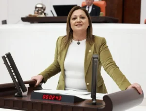 Burcu Köksal: Hiçbir yere gitmiyorum, parti içinde yaşadıklarıma da susmayacağım