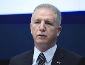 Davut Gül: İstanbul’da mamayla beslenen kediler, fare yakalayamıyor