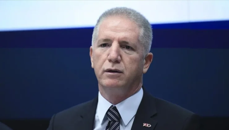 Davut Gül: İstanbul’da mamayla beslenen kediler, fare yakalayamıyor